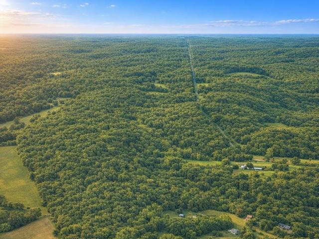 Land for sale in Tennessee