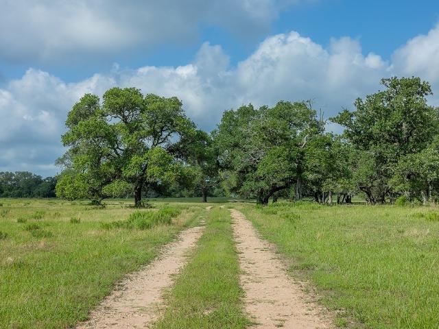 Land for sale in Weimar, Texas
