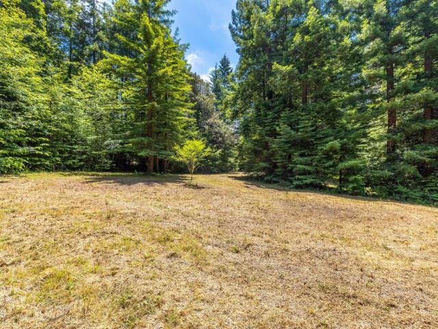 Land for sale in Fort Bragg, Mendocino County