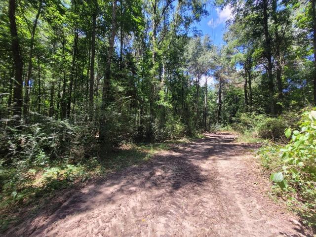 House for sale in Kirbyville, Jasper County