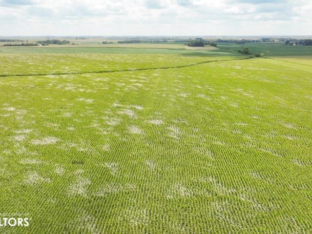 Farm for sale in Ionia, Iowa
