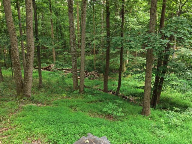 House for sale in Boggstown, Pennsylvania