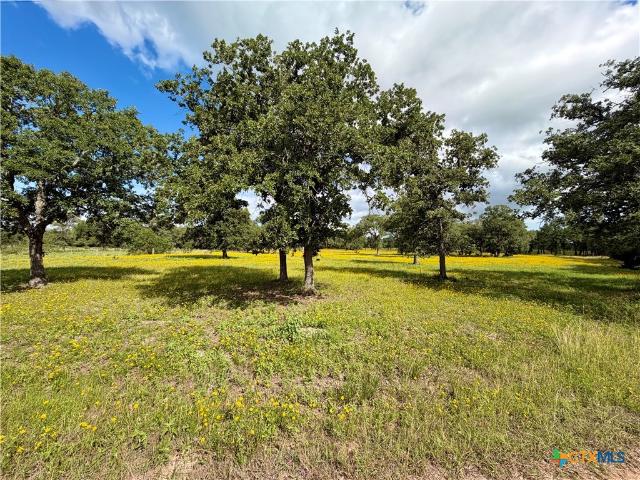 Farm for sale in Dewitt, Texas