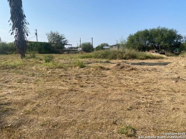 Land for sale in Dilley, Frio County