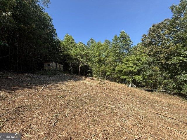 Land for sale in Hiawassee, Georgia