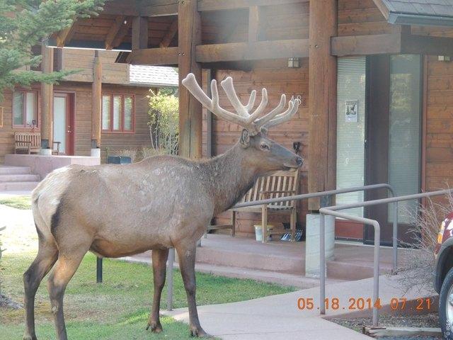 Condo for sale in Colorado