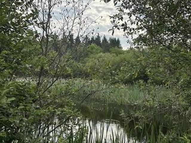 Land for sale in Cornhill, New Brunswick