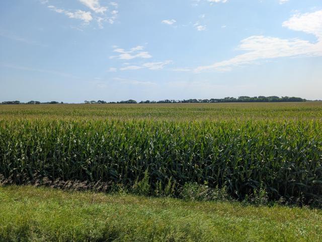 Land for sale in Chokio, Minnesota