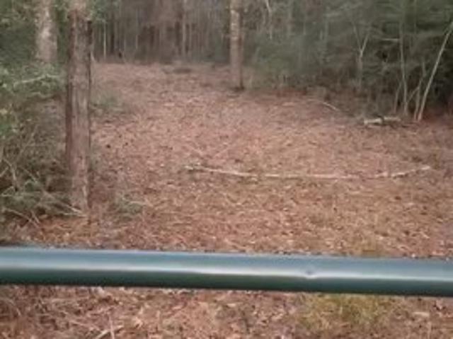 Land for sale in Jasper, Texas