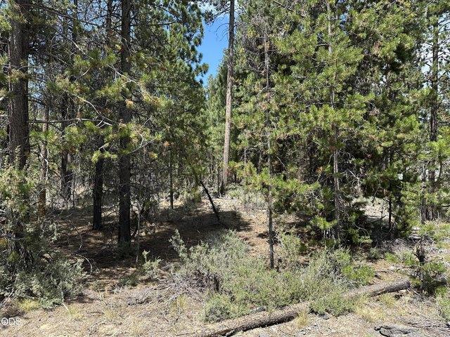 Land for sale in Oregonia