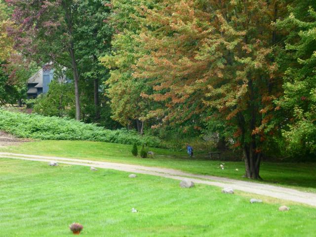 Commercial for sale in Fraser, Michigan