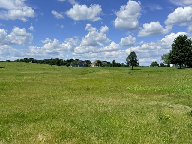 Land for sale in Newark, Illinois