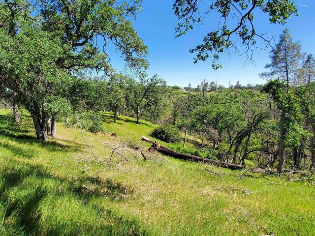 Land for sale in California
