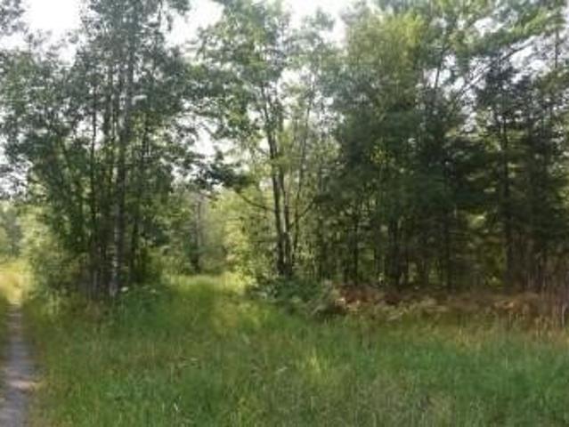 Land for sale in Mcgregor, Minnesota