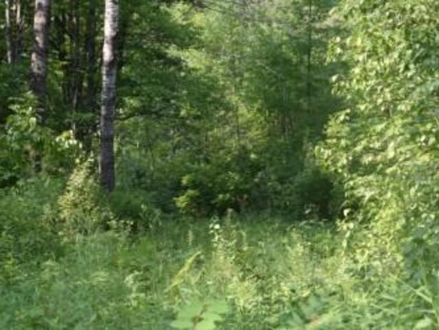 Land for sale in Minnesota