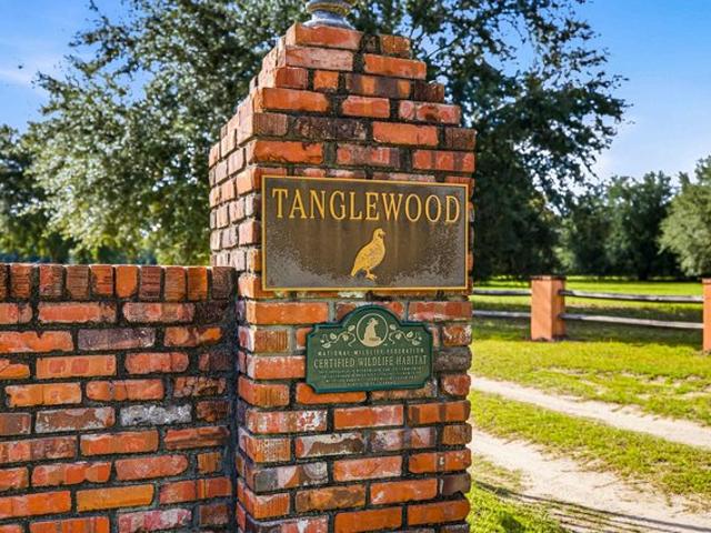 Land for sale in Manning, Clarendon County