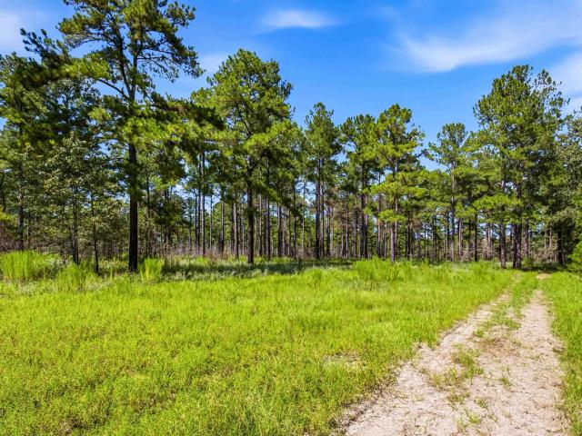 Land for sale in Manning, Clarendon County
