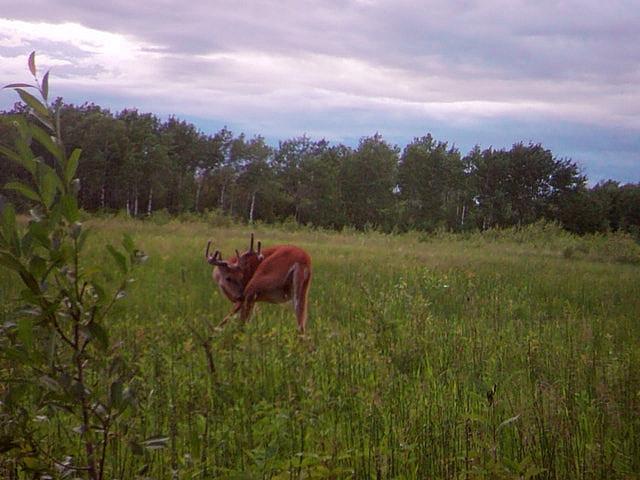 Land for sale in Stuartburn, Manitoba