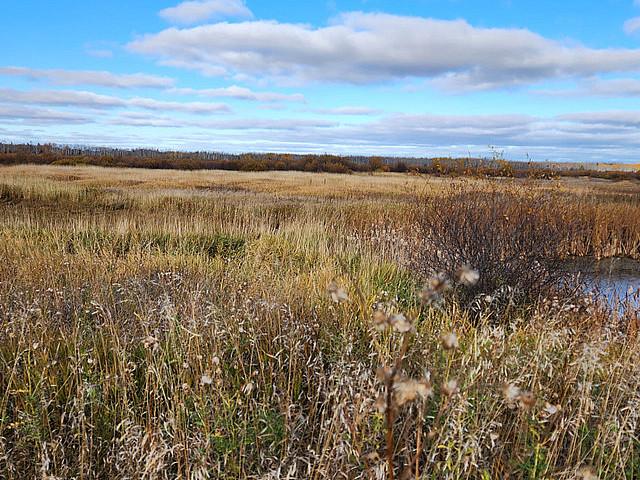 Land for sale in Earlton, Ontario