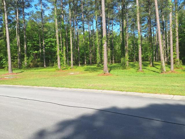 Land for sale in Oriental, North Carolina