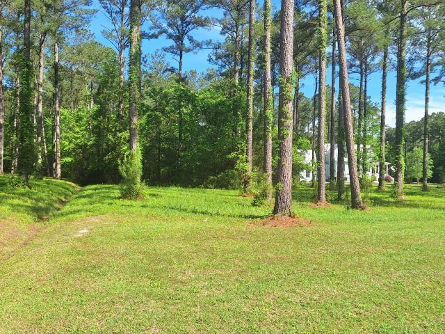 Land for sale in Oriental, Pamlico County