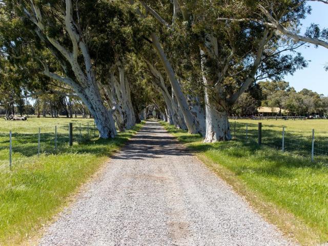 House for sale in Mardella, Western Australia