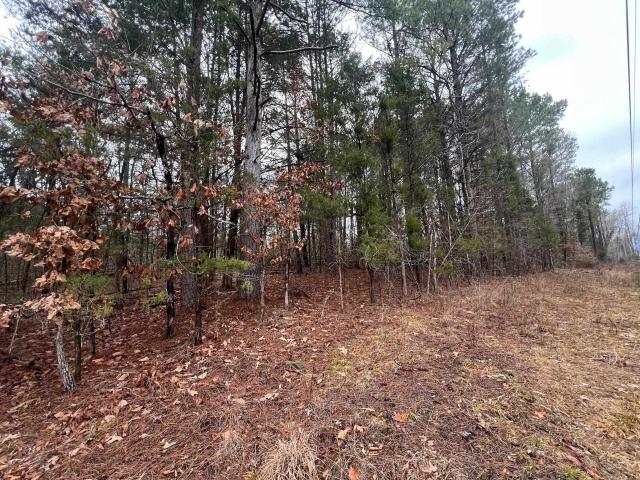 Land for sale in Tennessee
