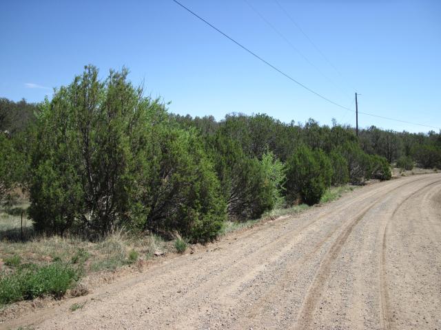 Land for sale in Edgewood, New Mexico