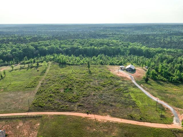 Land for sale in Upson, Georgia