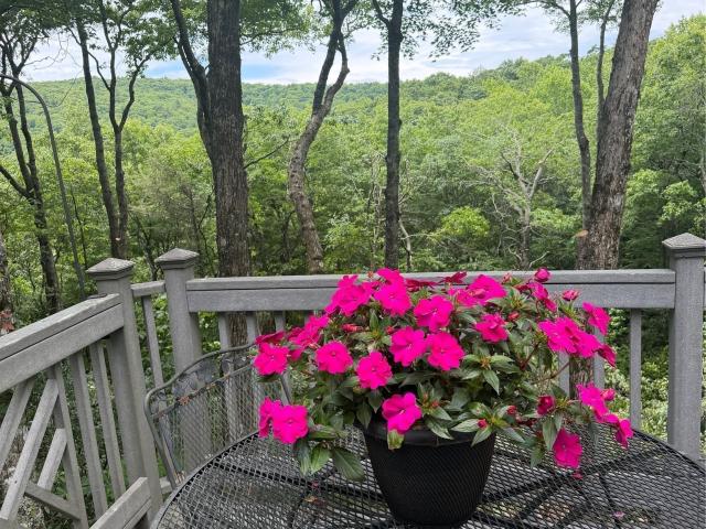 House for sale in Highlands, Macon County