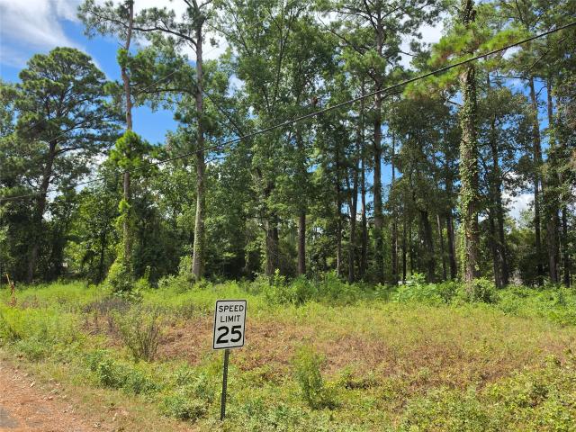 Land for sale in Onalaska, Polk County