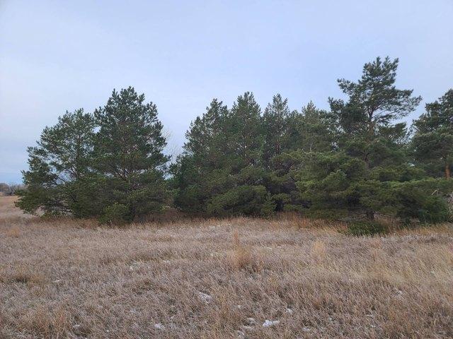 Land for sale in Bottineau, North Dakota