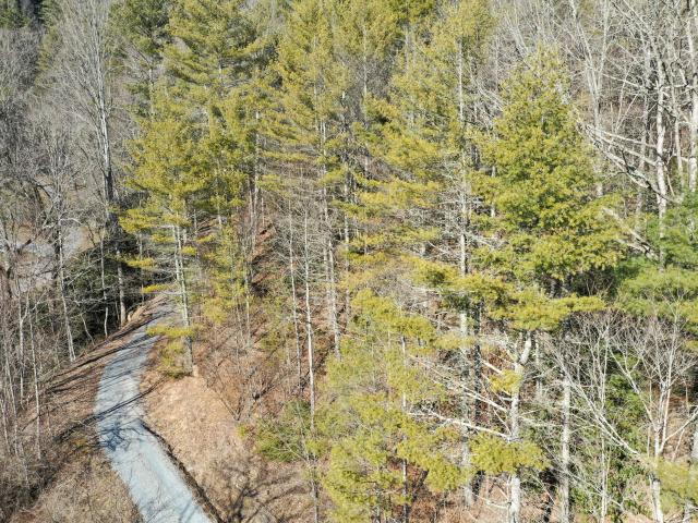 Land for sale in Roan Mountain, East Tennessee
