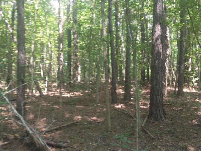 Land for sale in Coosa, Alabama