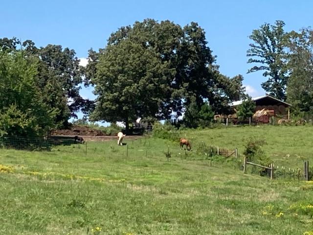 Ranch for sale in Trion, Georgia