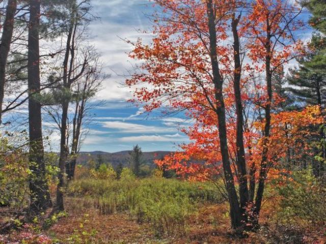Land for sale in Berkshire, Massachusetts