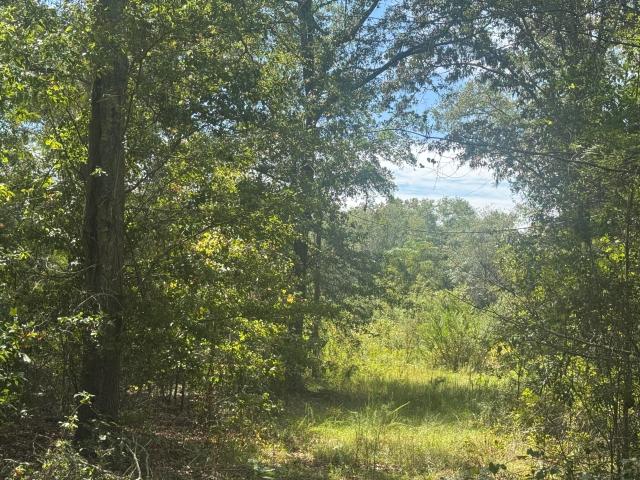 Land for sale in North, South Carolina