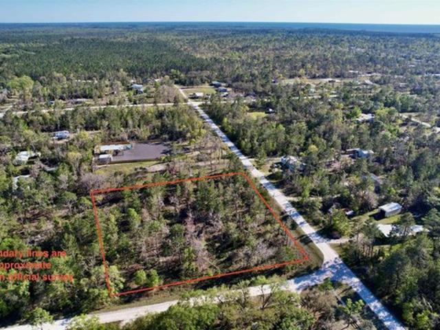 Land for sale in Perry, Taylor County