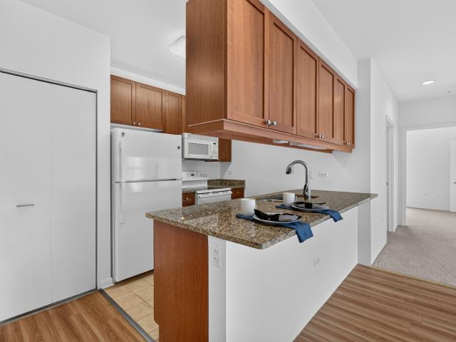 Condo for sale in Downtown, Evanston