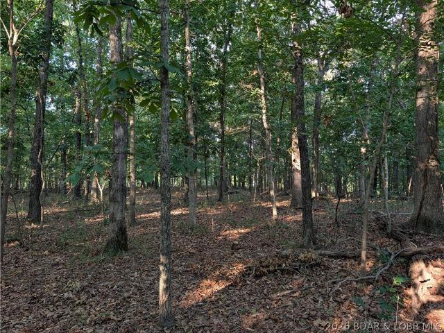 Land for sale in Sunrise Beach, Missouri