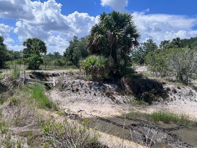 Land for sale in Okeechobee, Florida