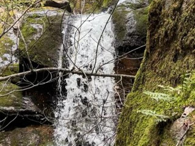 Land for sale in Camptonville, California