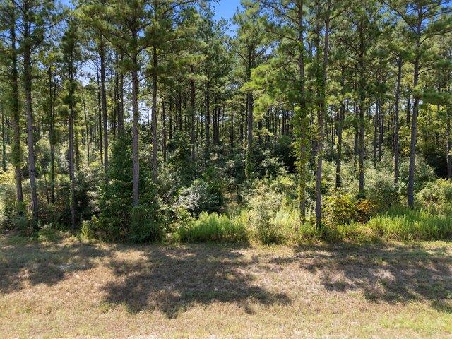 Land for sale in Willis, Texas