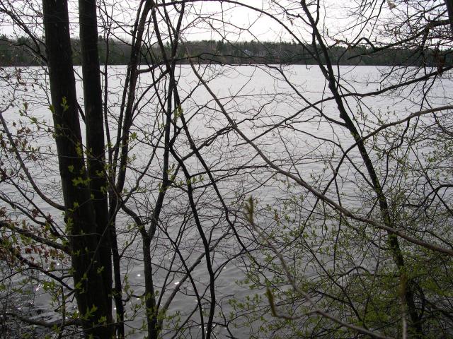 Land for sale in Traverse City, Michigan