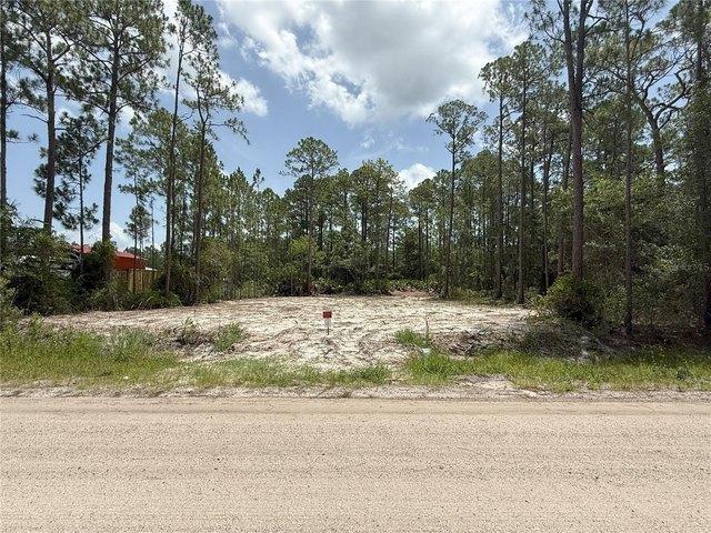 Land for sale in Bunnell, Florida