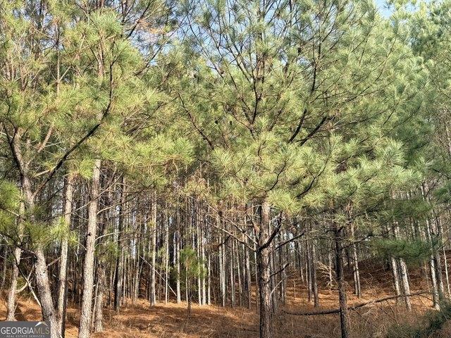 Land for sale in Snellville, Georgia