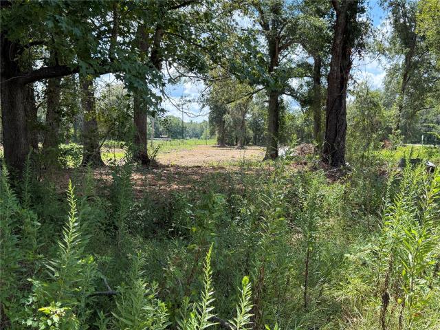 Land for sale in San Augustine, Texas