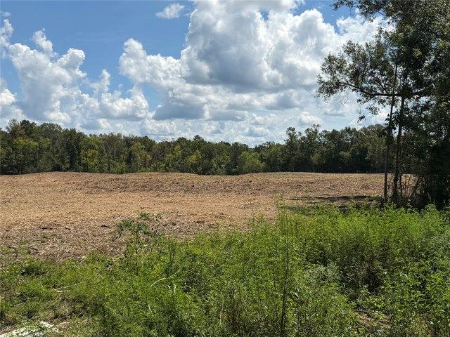 Land for sale in San Augustine, Texas