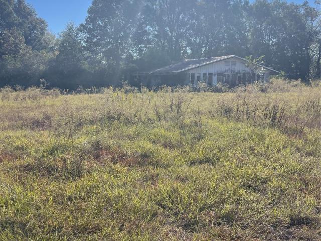 Land for sale in San Augustine, Texas