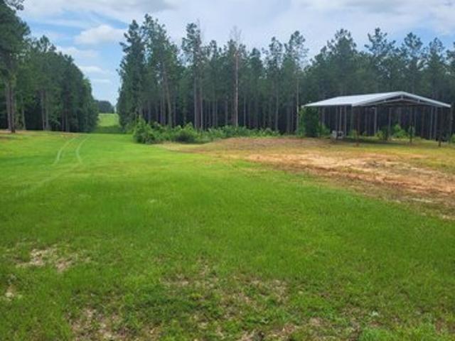 Land for sale in Purvis, Mississippi